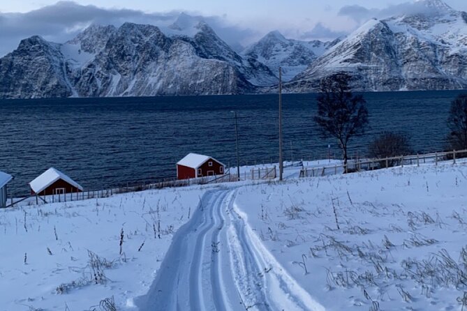 Tromsø Cross-Country Ski Adventure - How the guides handle different ability levels