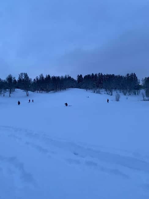 Tromsø: Sledding, Toboggan, Mini Skiing, Lasso & Arctic Fun - Mini-skiing adds a playful challenge