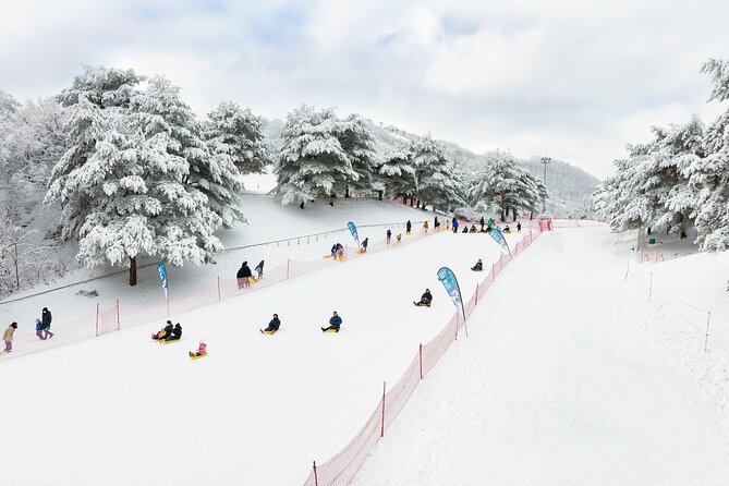 Vivaldi Park Winter Ski Resort with Nami Island Tour from Seoul - Costs that can catch you by surprise