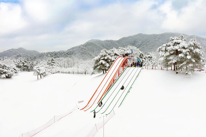 Vivaldi Park Winter Ski Resort with Nami Island Tour from Seoul - The Nami Island stop after the snow