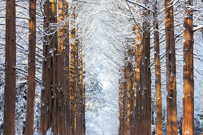Vivaldi Park Winter Ski Resort with Nami Island Tour from Seoul - How the guide and group setup affect the experience