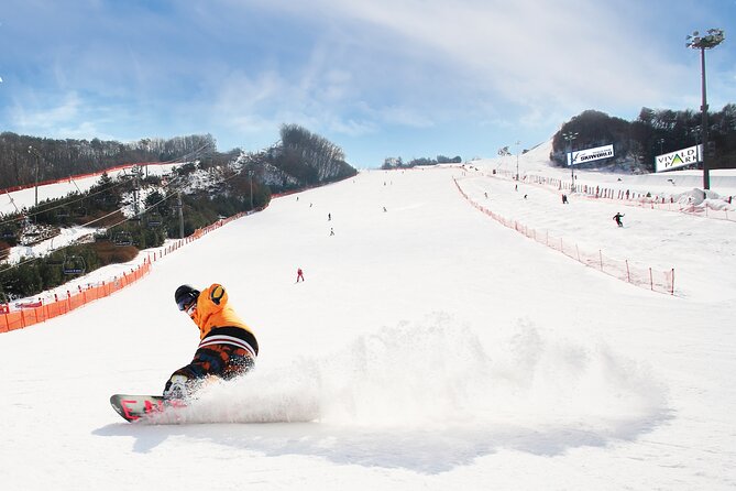 Vivaldi Park Winter Ski with Eobi Ice Valley Day Tour from Seoul - Key points at a glance