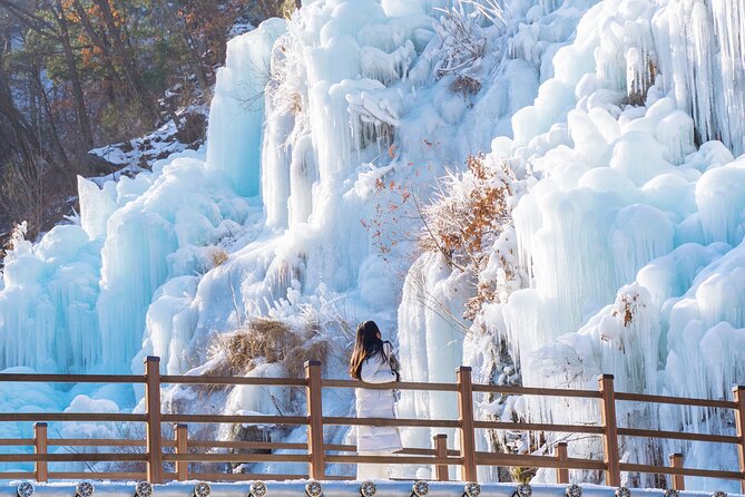 Vivaldi Park Winter Ski with Eobi Ice Valley Day Tour from Seoul - Choosing the right package