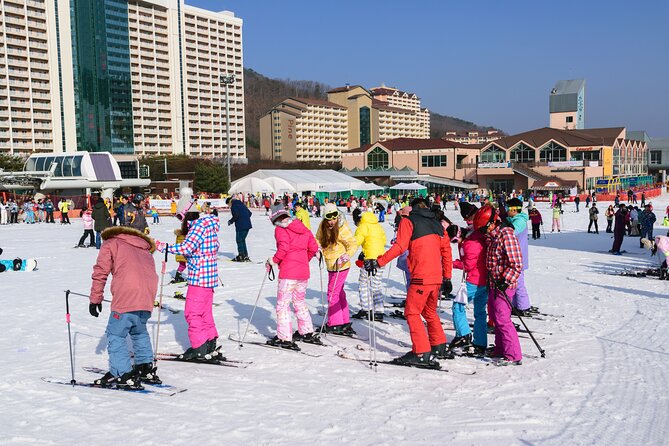 Vivaldi Park Winter Ski with Eobi Ice Valley Day Tour from Seoul - Transport, group size, and the long day