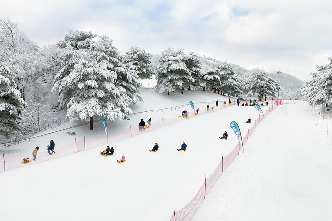 Vivaldi Park Winter Ski with Eobi Ice Valley Day Tour from Seoul - Eobi Ice Valley: 40 minutes with the icicles