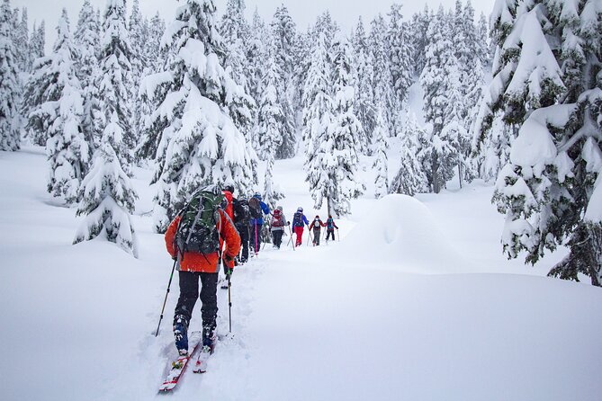 Whistler Intro to Backcountry Skiing and Splitboarding - Weather, clothing, and practical preparation