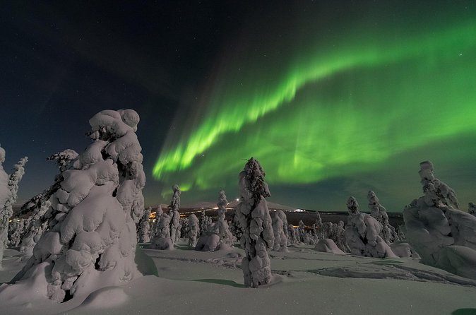 Ylläs: Guided Night Skiing Tour Under the Arctic Sky - Price and what you receive for $139.07
