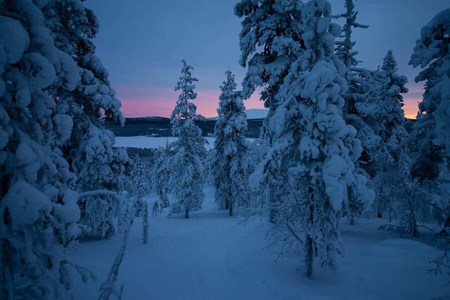 Ylläs: Guided Nordic Skiing Tour in Lapland Wilderness - Key things to know before you book