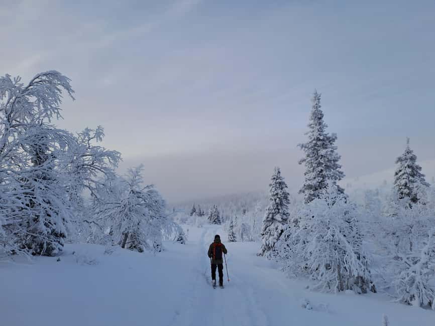 Ylläs: Guided Nordic Skiing Tour in Lapland Wilderness - Learning Nordic skiing without pressure