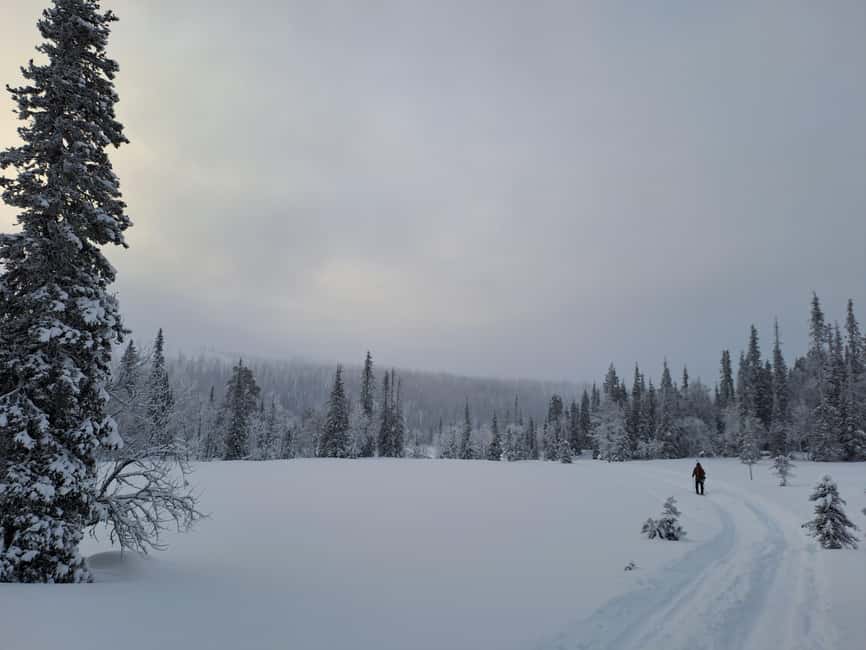 Ylläs: Guided Nordic Skiing Tour in Lapland Wilderness - The campfire break and local sausage