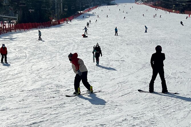 Yongpyong Ski Resort from Seoul with Optional Lesson and Packages - Arriving at Mona Yongpyong Ski Resort