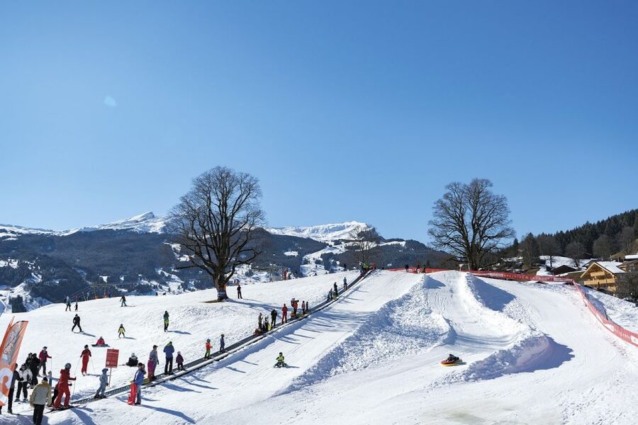 Zurich/Lucerne: Swiss Ski Experience in the Jungfrau Region - The early coach ride through the Bernese Oberland
